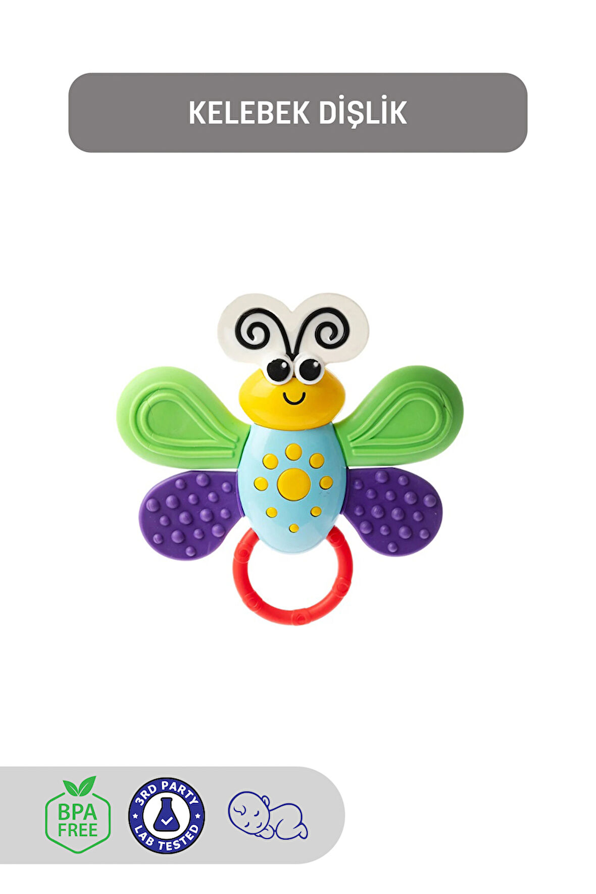 Kelebek Diş Kaşıyıcı, Dişlik