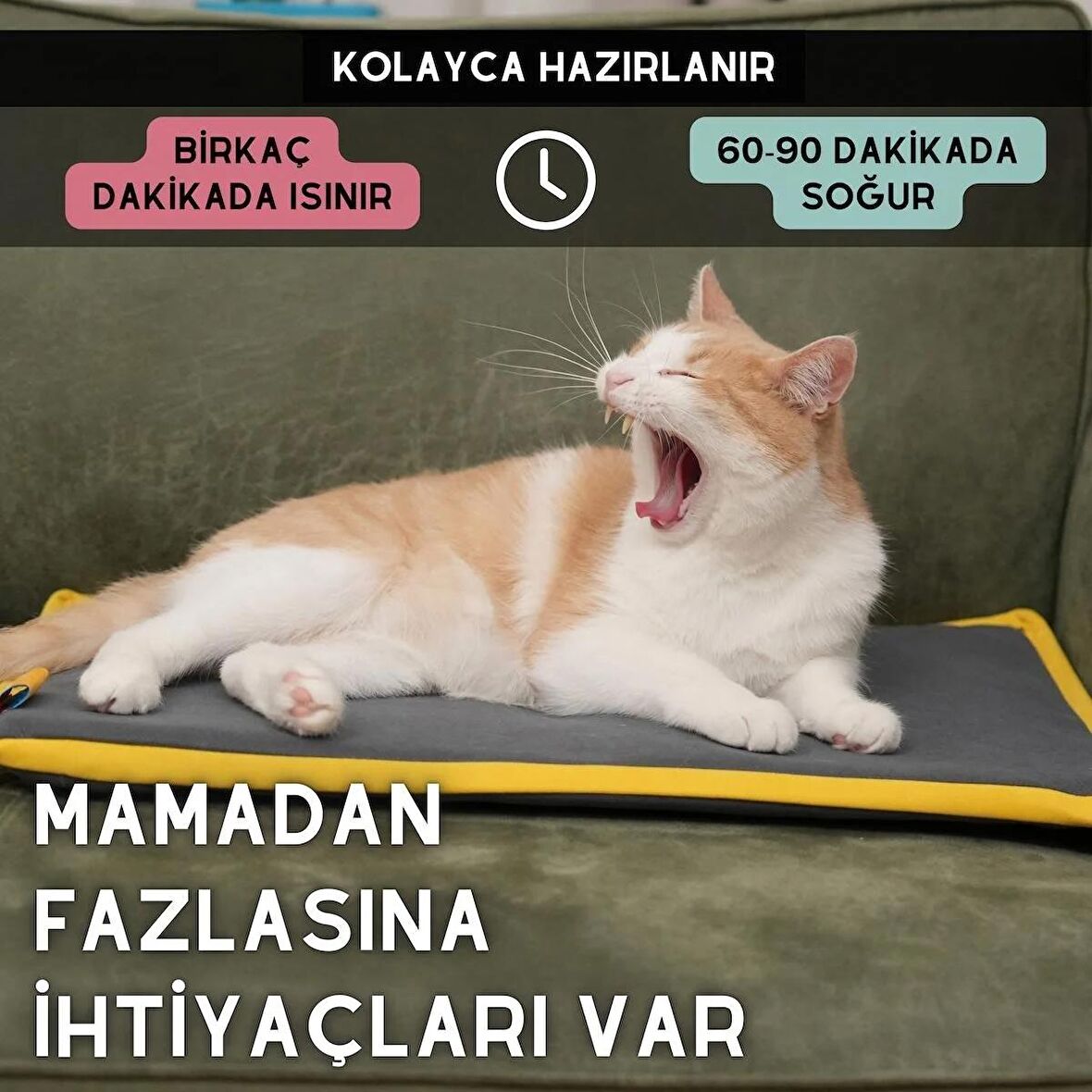 pawdaz Serin (60X40CM) - 4 Mevsim Kedi/ Köpek Matı, Sıcak Veya Soğuk Kullanılabilen Minder Yatak (antrasit)