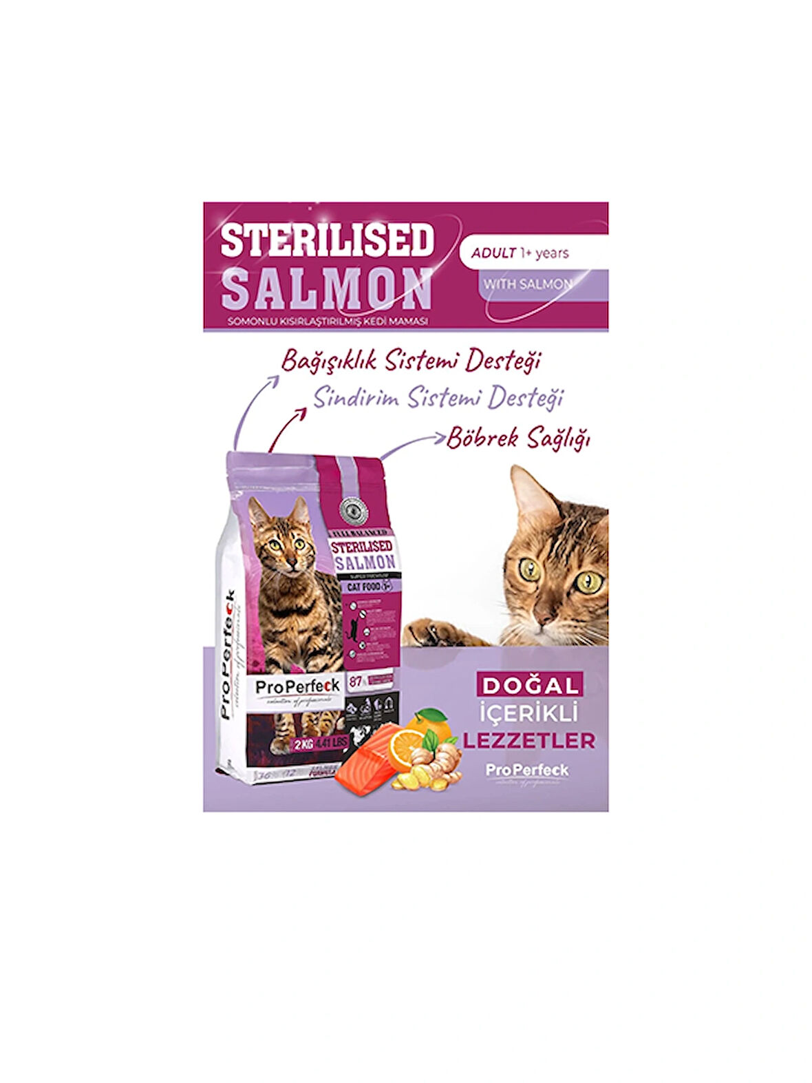 PREMİUM KISIRLAŞTIRILMIŞ SOMONLU PORTAKALLI KEDİ MAMASI 10 KG