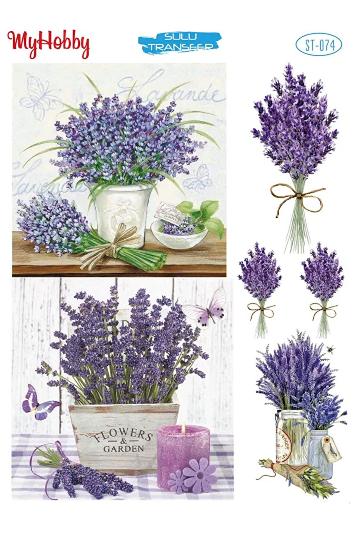 My Hobby Sulu Transfer ST074