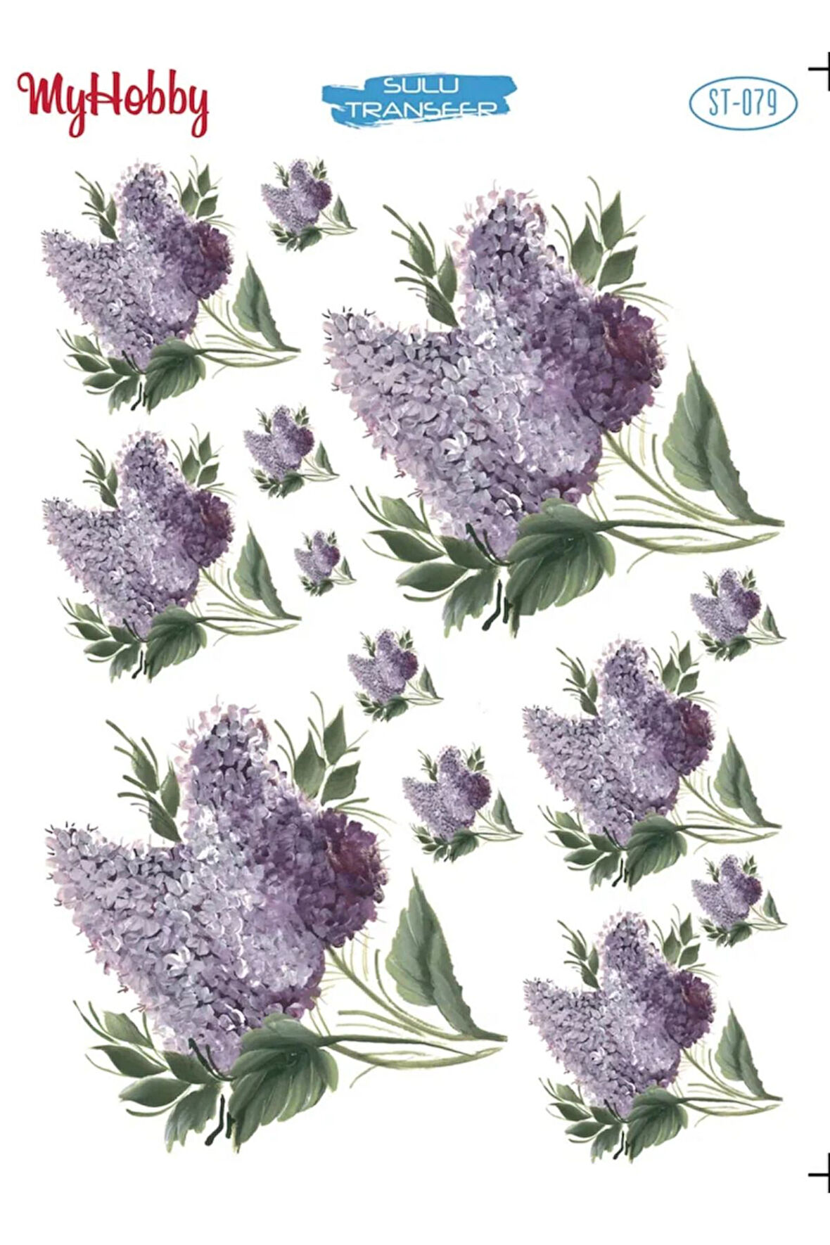 My Hobby Sulu Transfer ST079