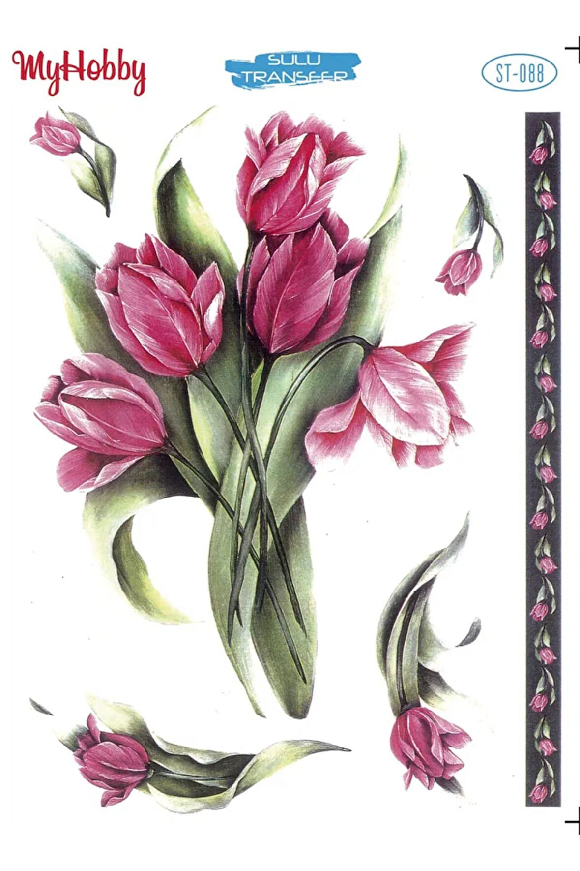 My Hobby Sulu Transfer ST088