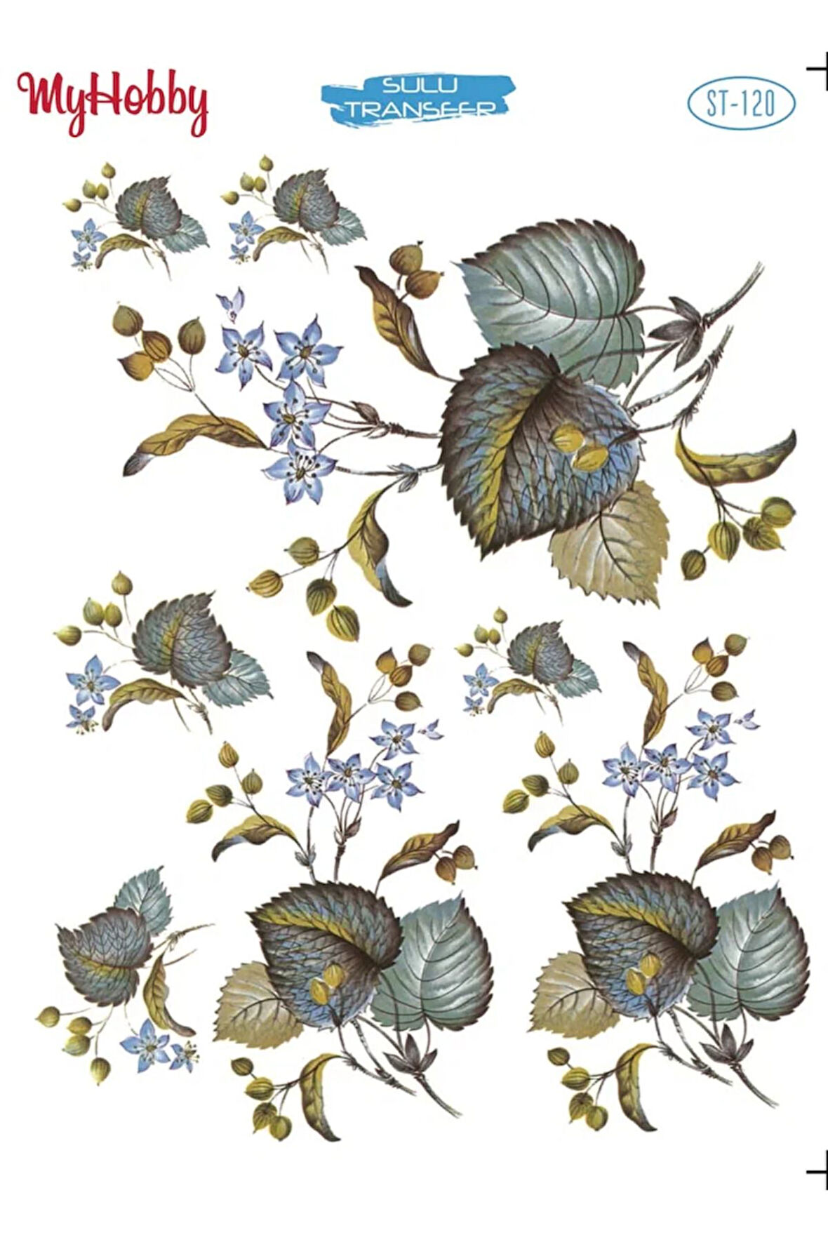 My Hobby Sulu Transfer ST120