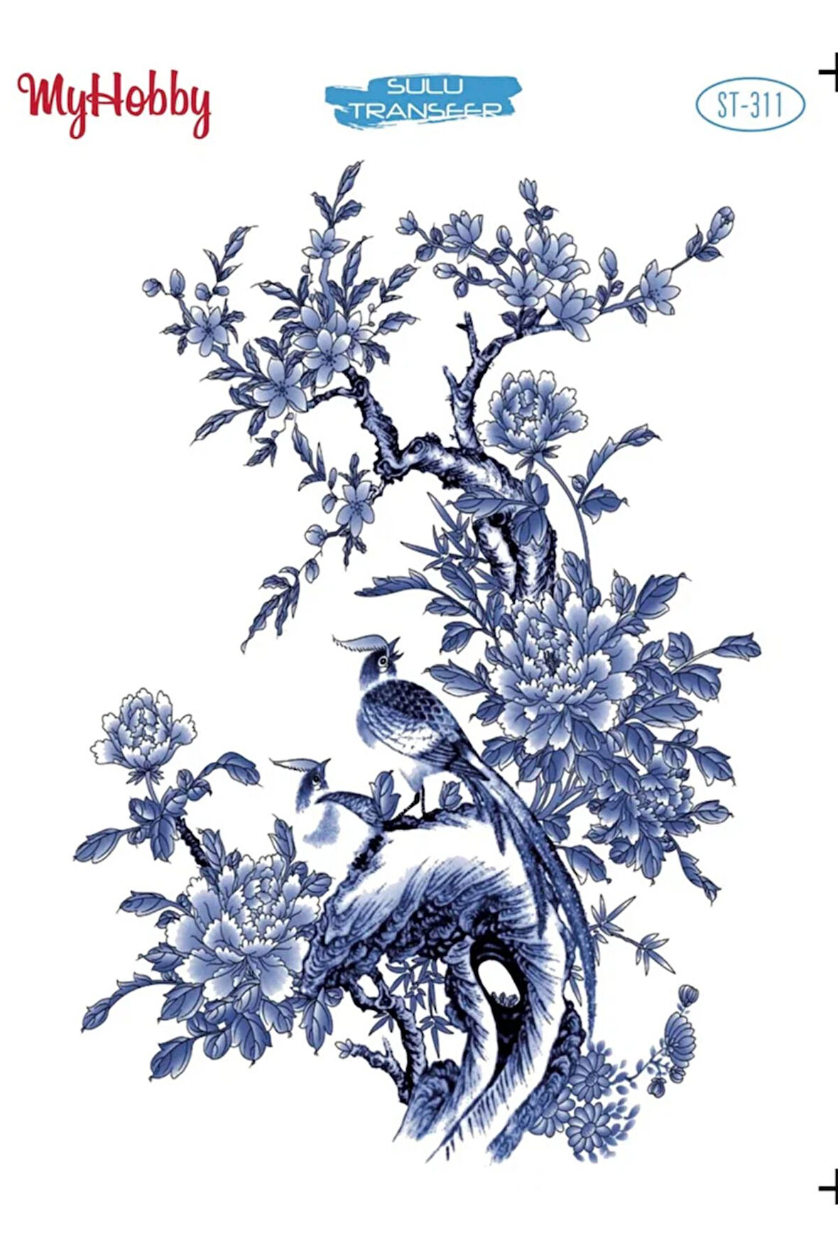 My Hobby Sulu Transfer ST311