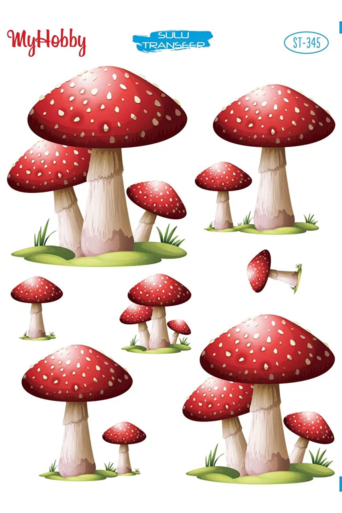 My Hobby Sulu Transfer ST345