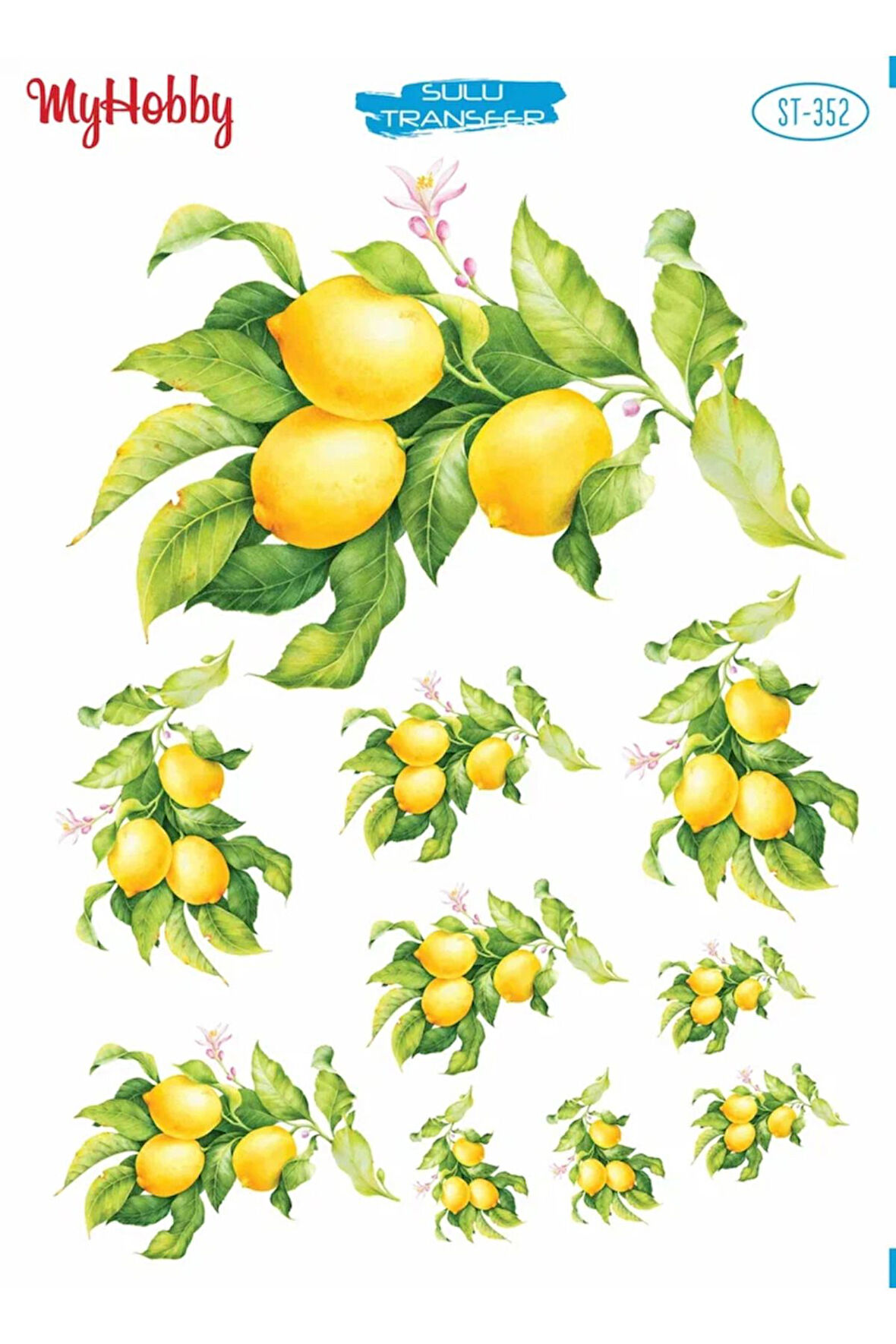 My Hobby Sulu Transfer ST352