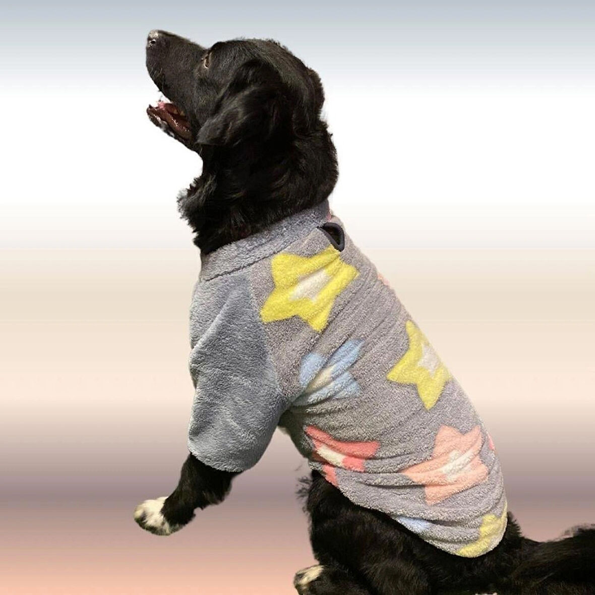 Gedyco Stars Premium Peluş Orta Irk Köpek Sweatshirtü