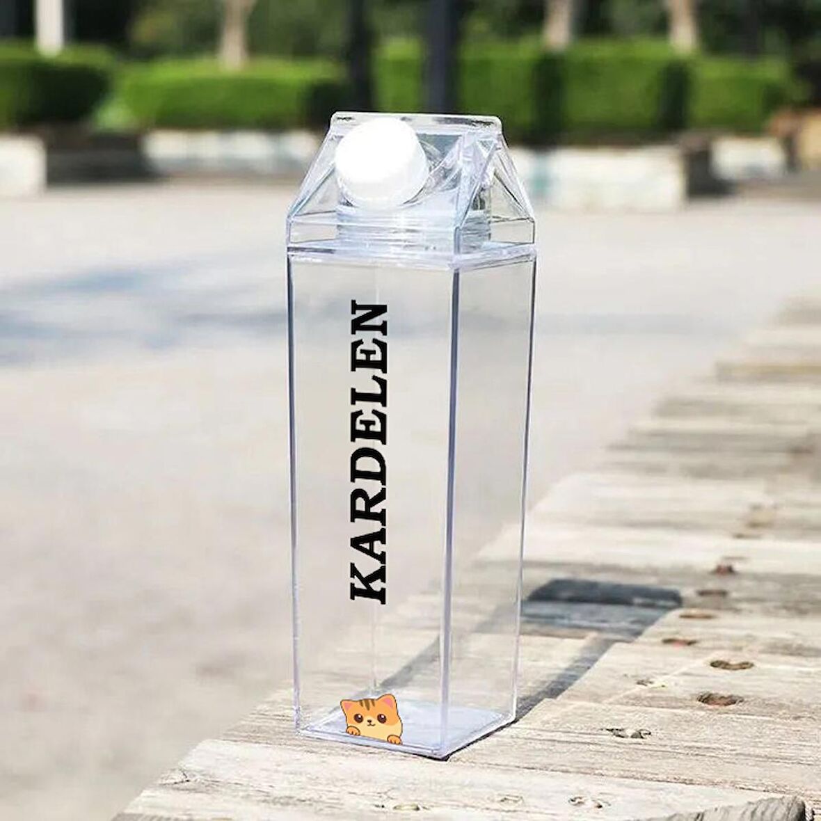 500 Ml Kişiselleştirilebilir Süt Kutusu Kedi Desenli Matara Mika Süt Kutusu Şeklinde Suluk