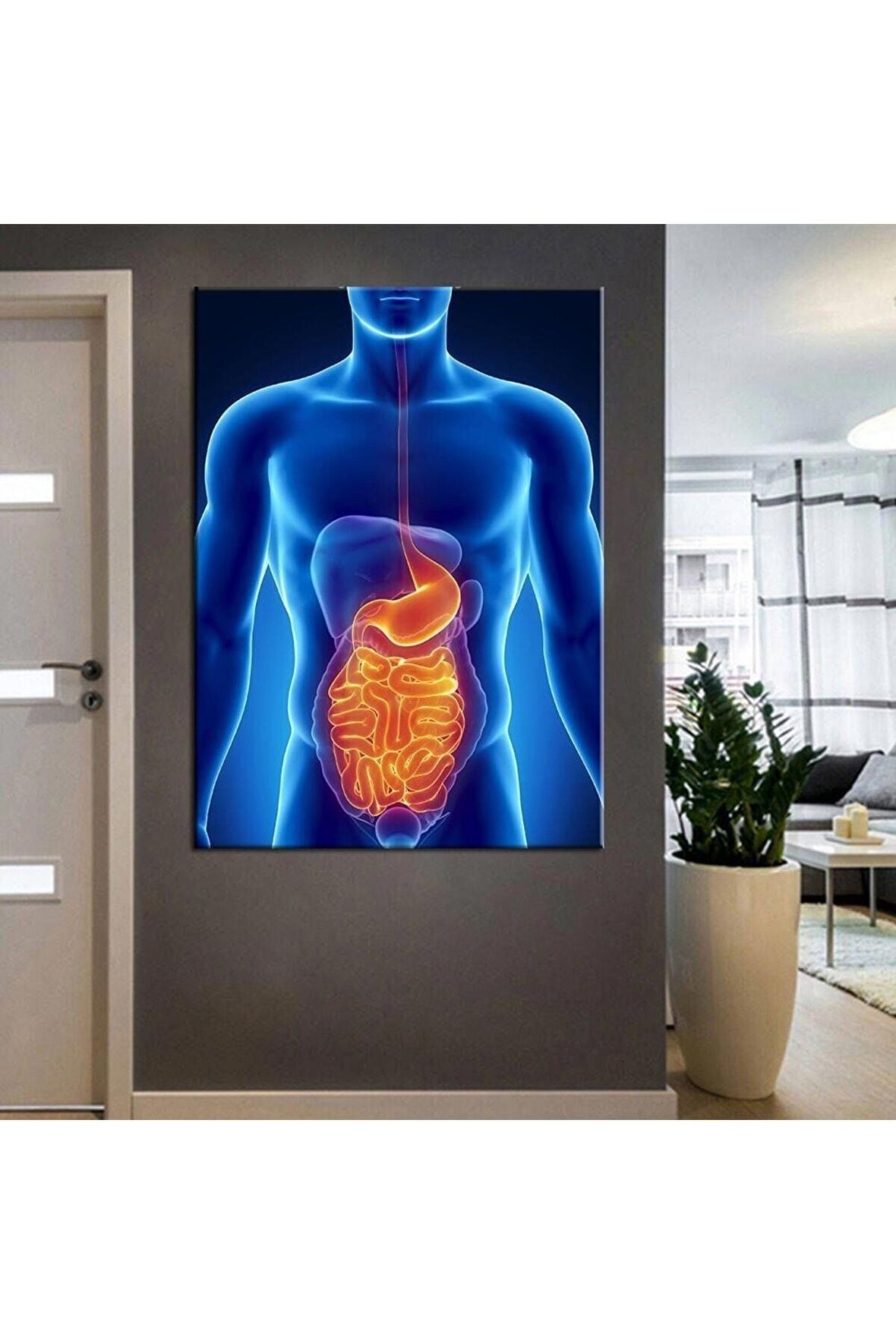 Poliklinik Klinik Hastane Dekorasyonu Medikal Hastane Tabloları KanvasSepeti