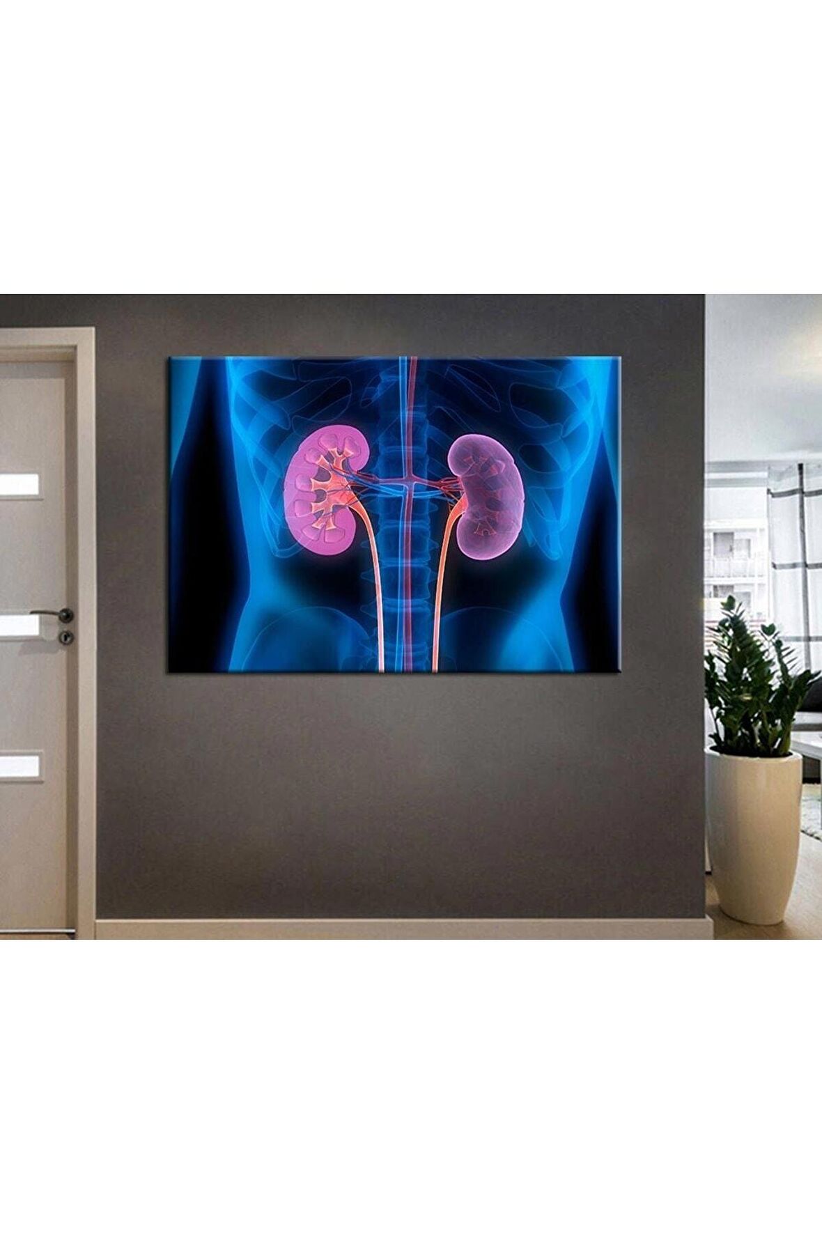 Poliklinik Klinik Hastane Dekorasyonu Medikal Hastane Tabloları KanvasSepeti