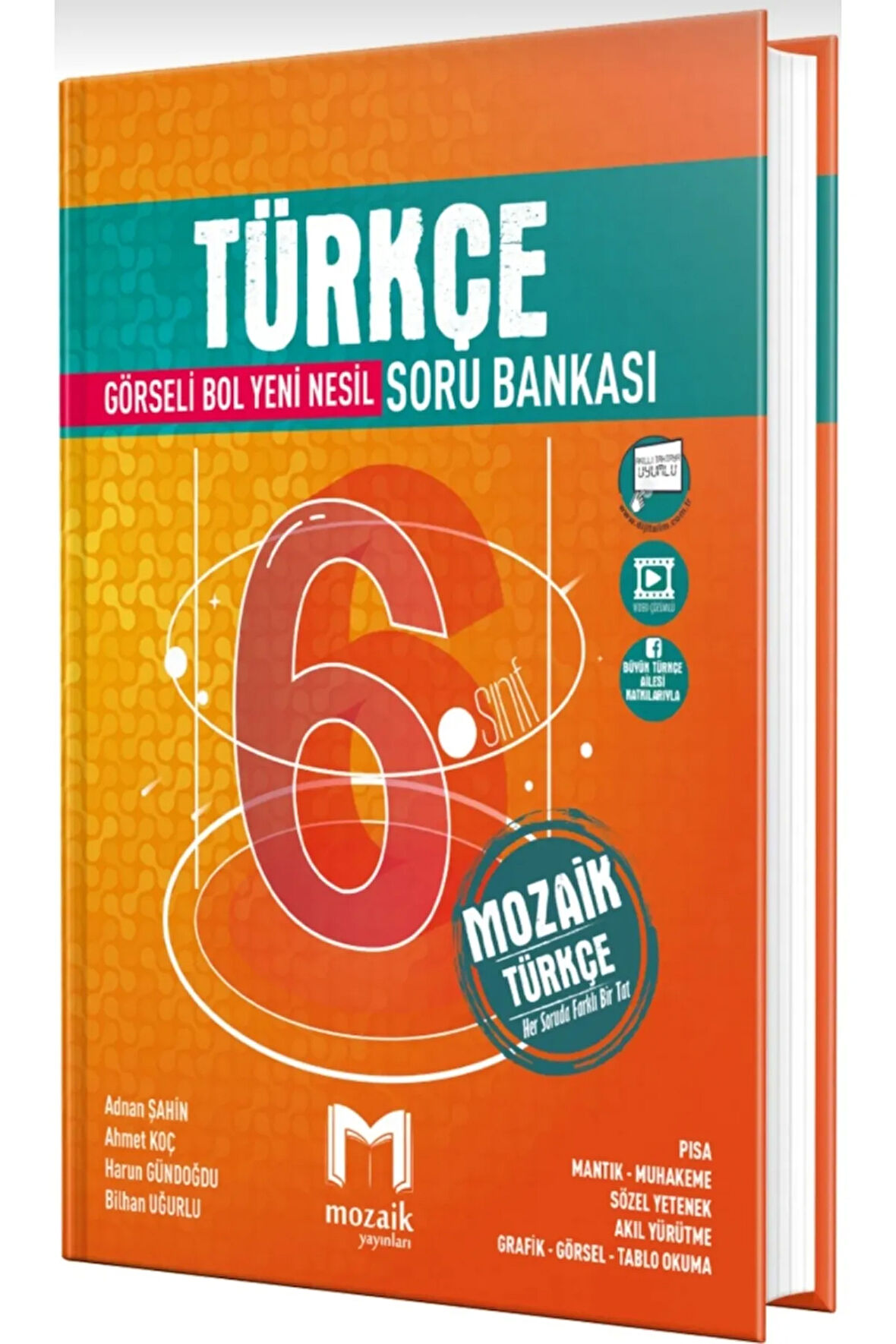 Mozaik 6. Sınıf Türkçe Soru Bankası