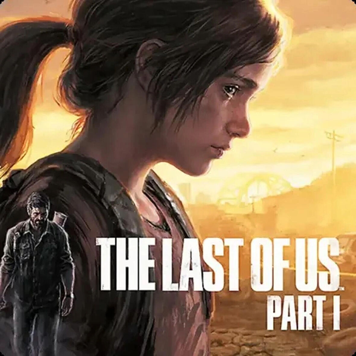 The Last of Us Part 1 Steam CD Key