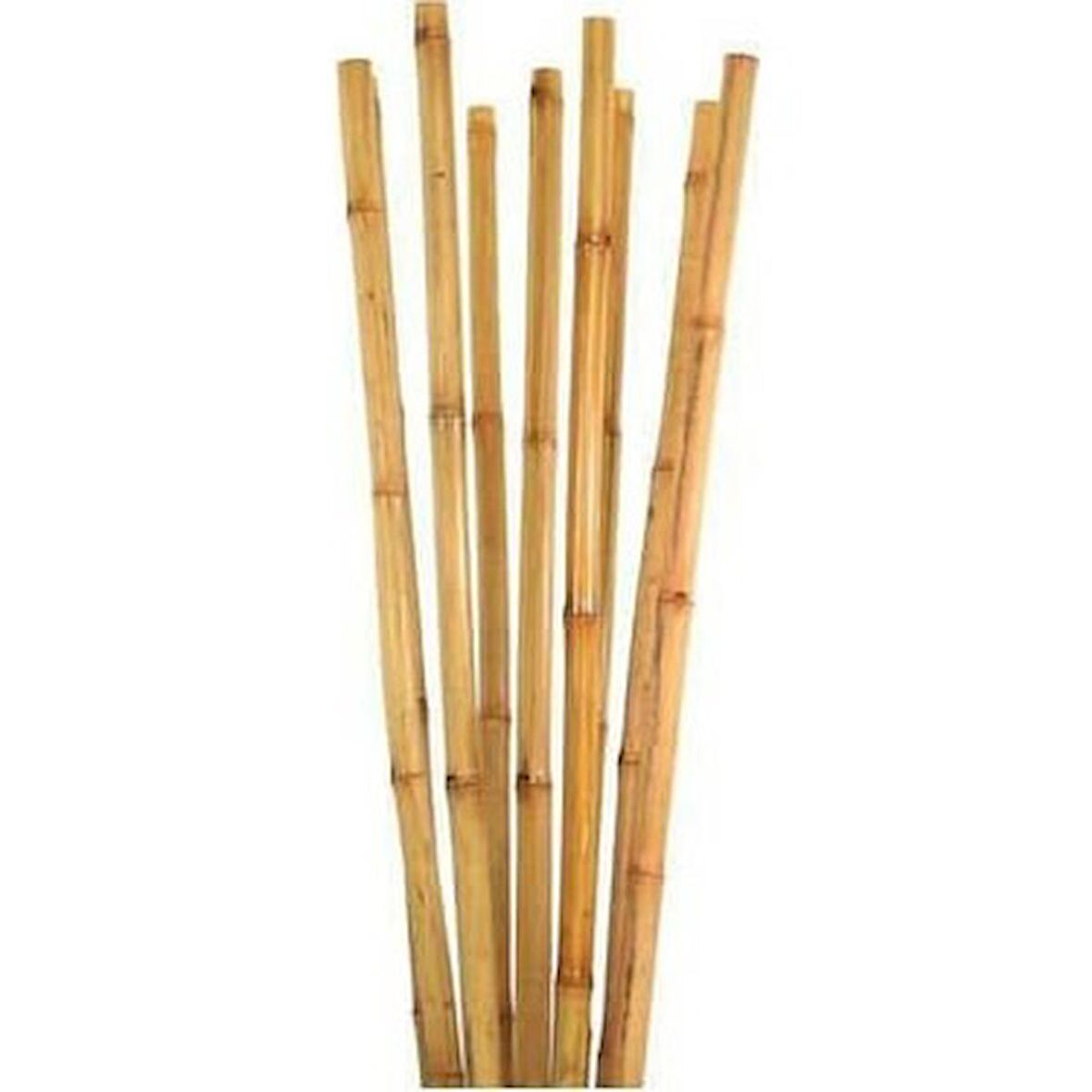 BAMBU BİTKİ DESTEK ÇUBUĞU 105 CM 10 ADET