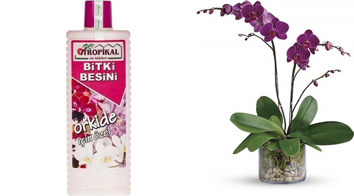 TROPİKAL ORKİDE BİTKİ BESİNİ 6 ADET - 1000 ML