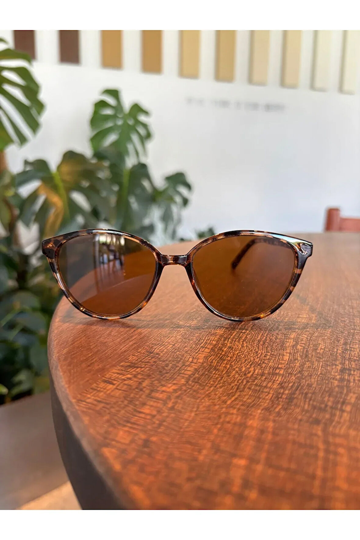 Tokyo Cat Eye Leopar 49 Ekartman Güneş Gözlüğü Kadın Erkek Hafif Çekik Küçük Gözlük