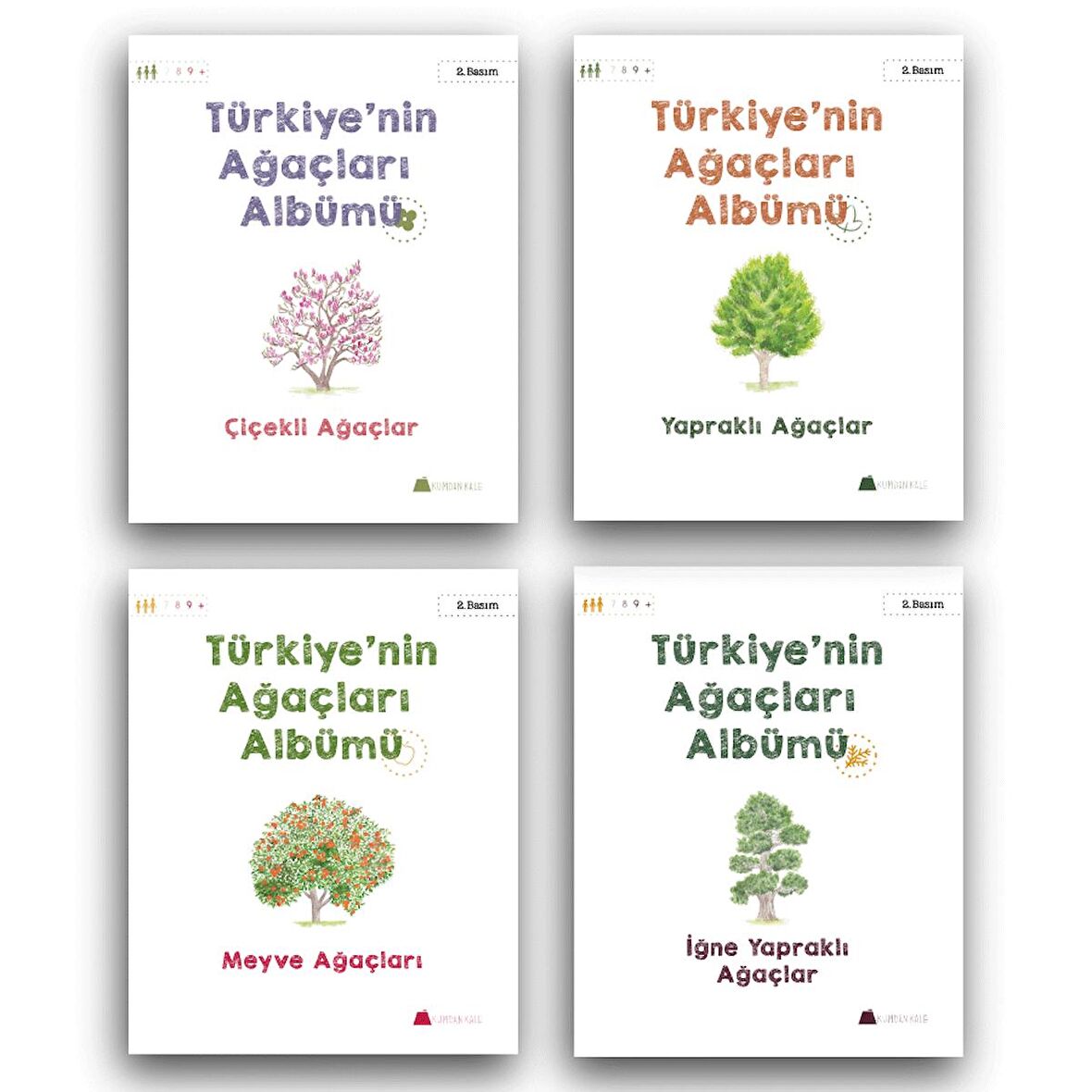 Türkiye'nin Ağaçları Albümü Seti (7 Yaş+) 4 Kitap