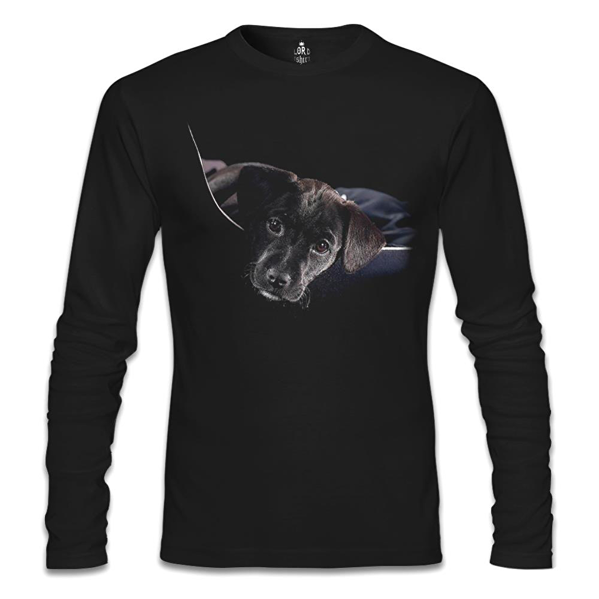 Puppy Siyah Erkek Sweatshirt