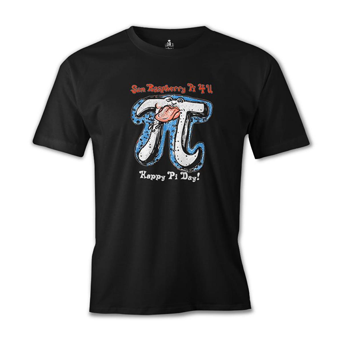 Matematik - Pi 6 Siyah Erkek Tshirt