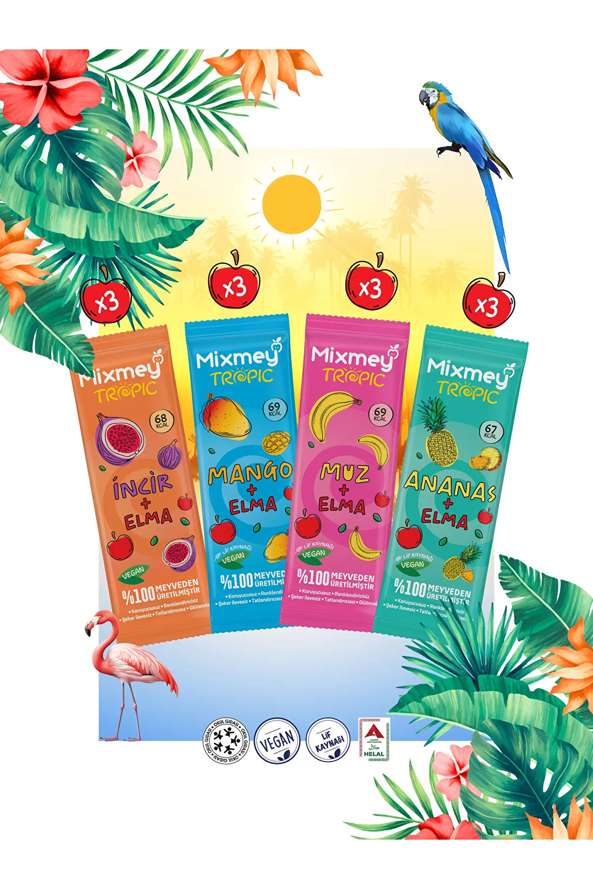 Mixmey Tropik Sever 12 Adet | Vegan Ve Glutensiz Tropik Sağlıklı Atıştırmalık - 20 gr X 12 Adet