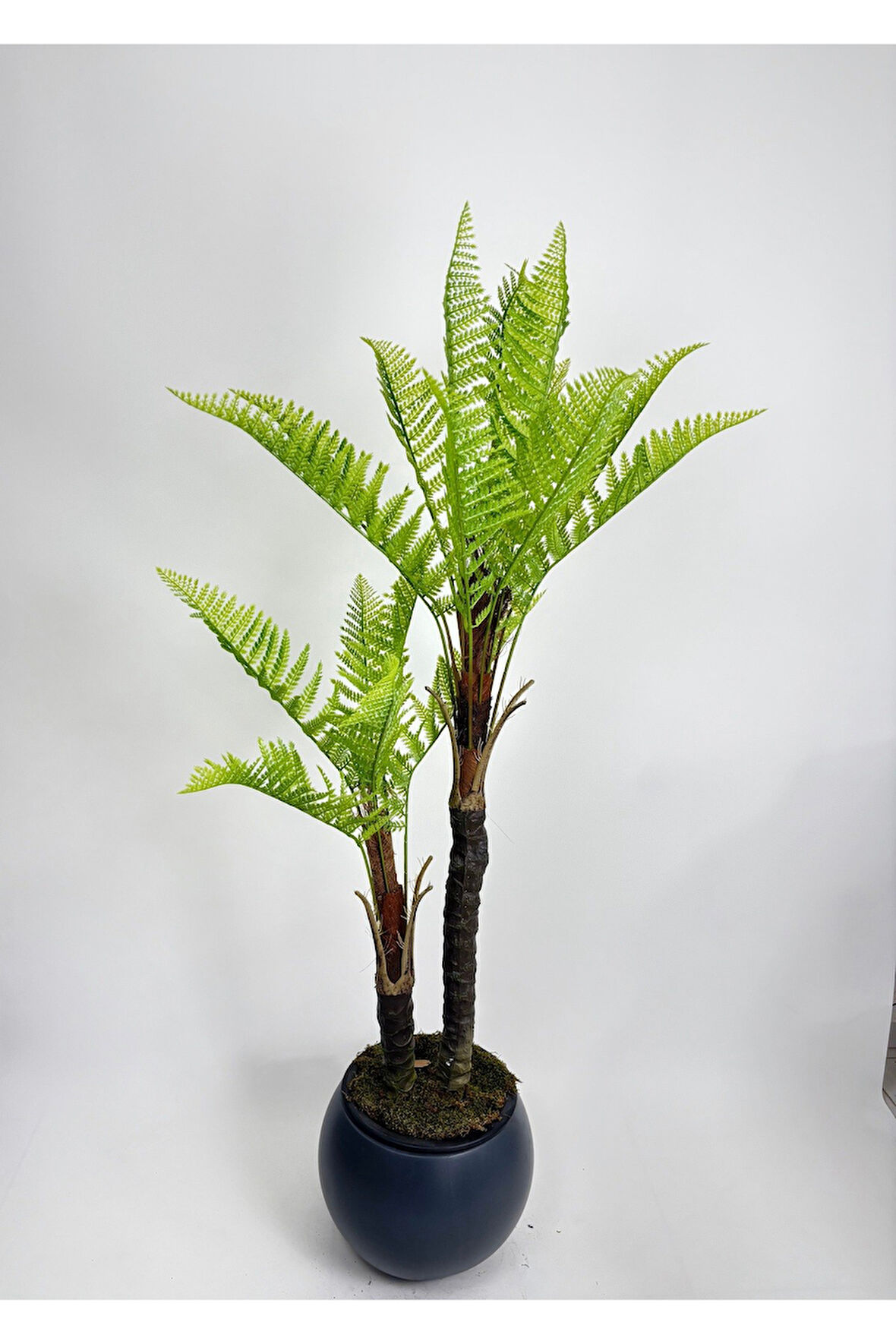 160 CM 2 KÖKLÜ YAPAY TROPİKAL AĞAÇ