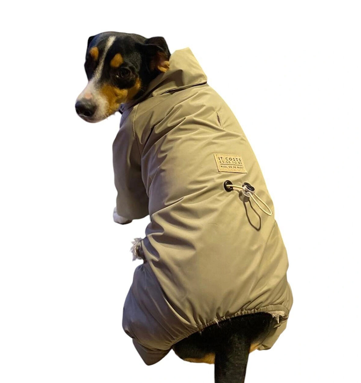 Gedyco Su Geçirmez içi Peluşlu Vizon Küçük Irk Köpek Tulum Yağmurluk