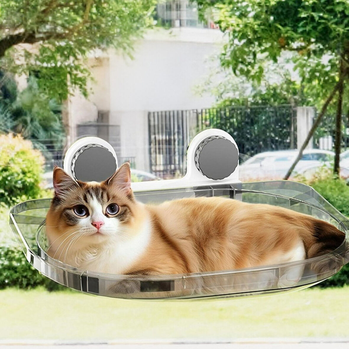 Vantuzlu Kedi Pencere Hamağı