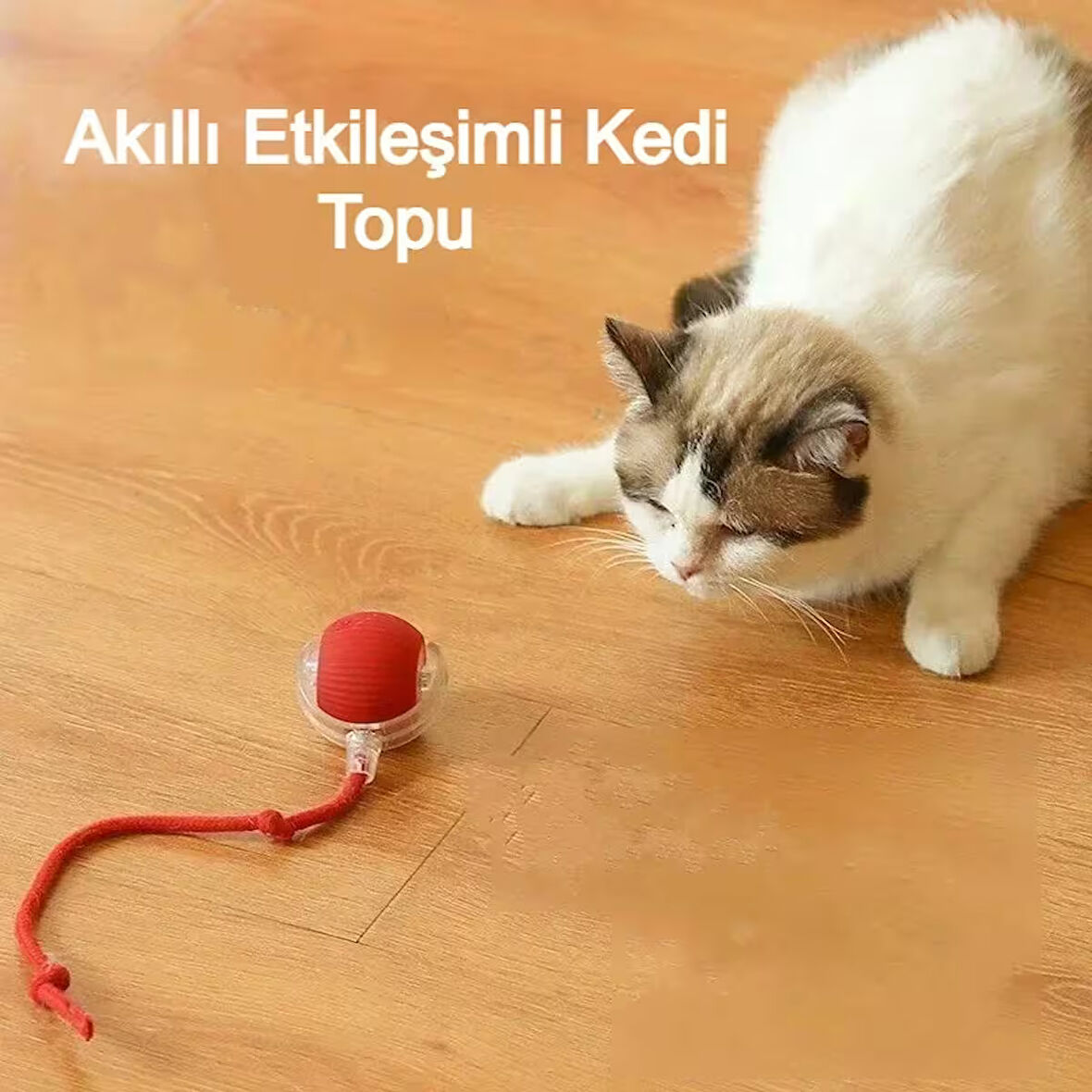 Akıllı Kendiliğinden Dönen Kedi Oyuncağı 360° Şarjlı Hareket Kuş Sesleriyle Eğlence ve Egzersiz
