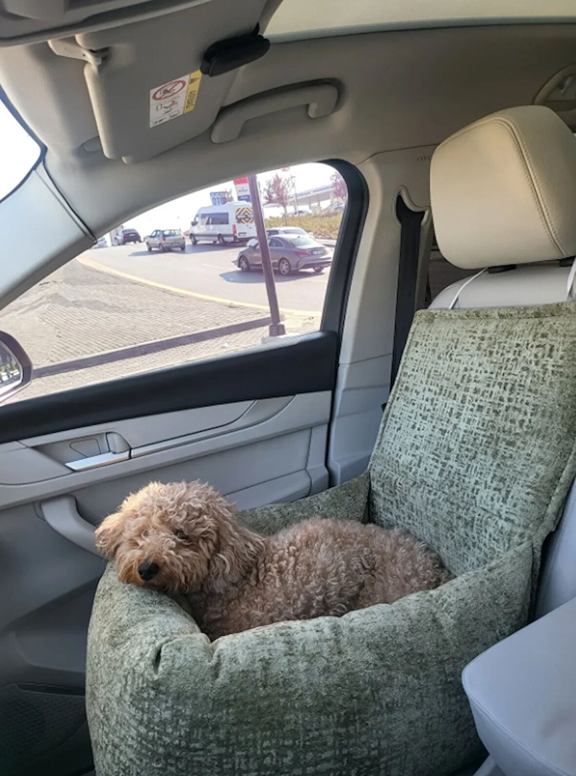 Araç İçi Evcil Hayvan Kedi Köpek Seyahat Yatağı