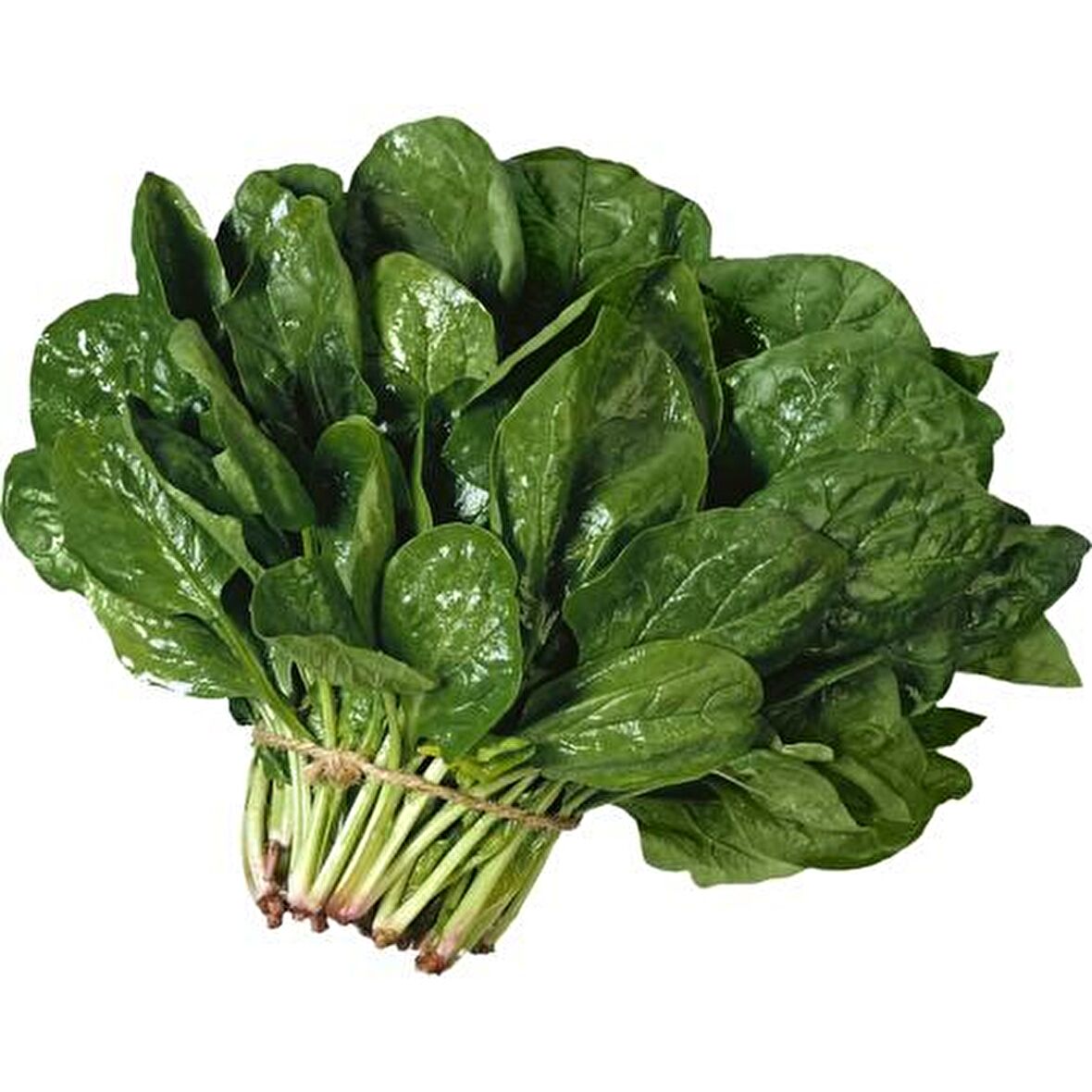 Yerli Ispanak Tohumu - 1000 Gr (Ort 80000 Ad)