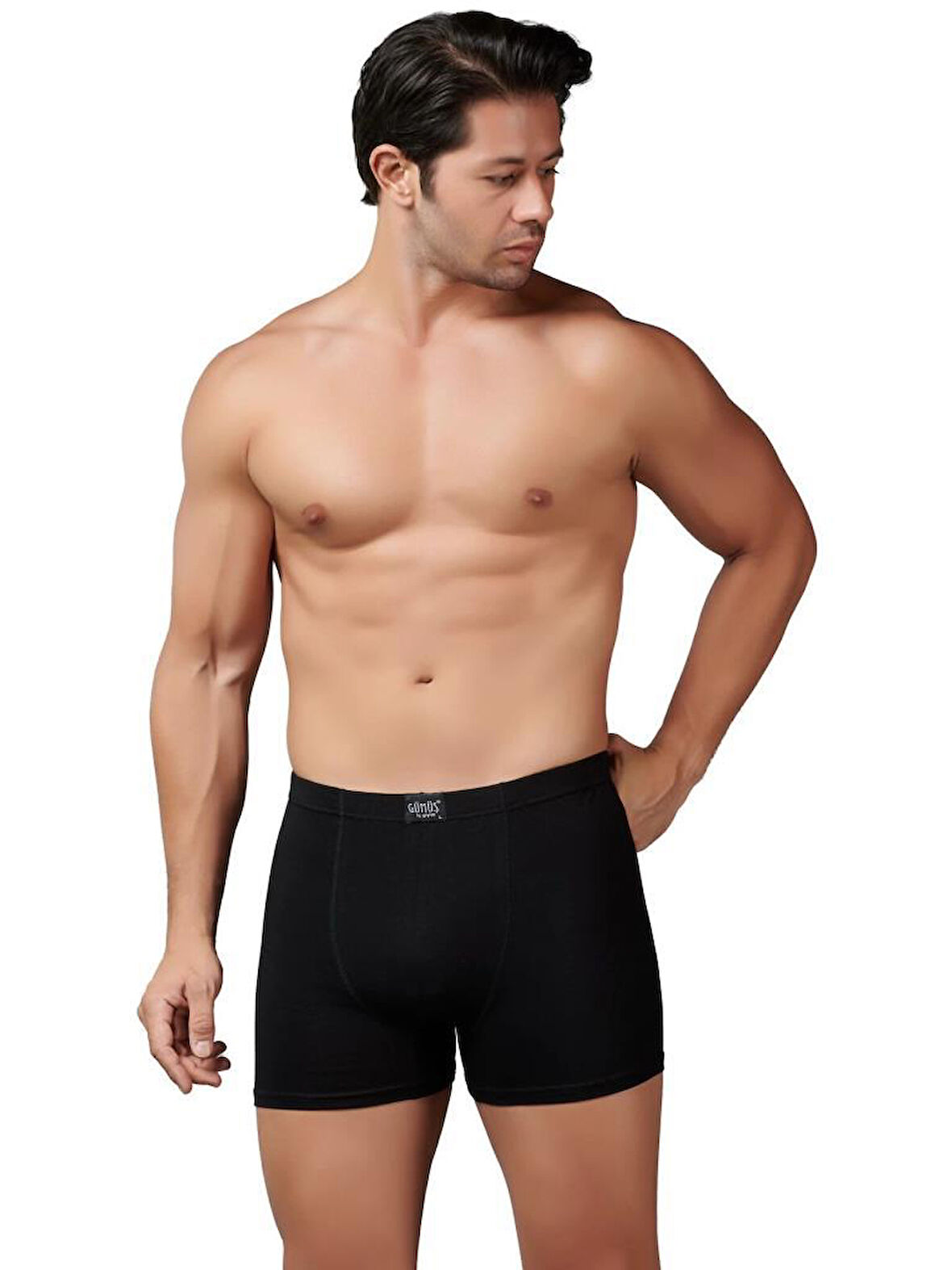 6 Adet Gümüş Erkek Modal Elastan Boxer 7009