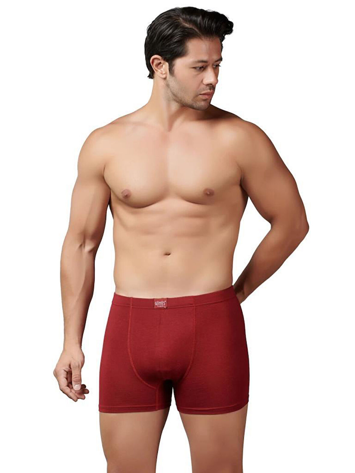 6 Adet Gümüş Erkek Modal Elastan Boxer 7009