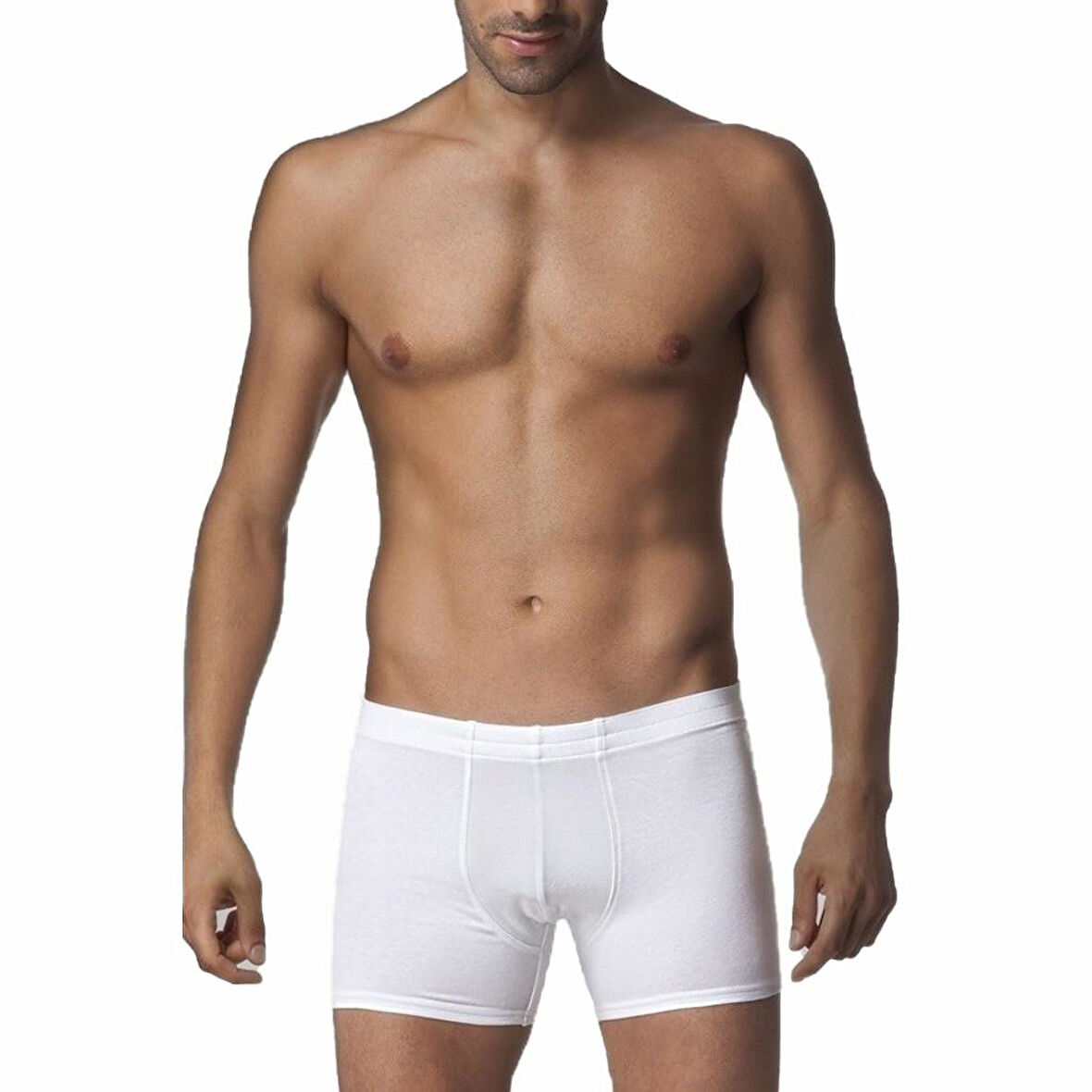 3 Adet Çift Kaplan Erkek Elastanlı Boxer 810