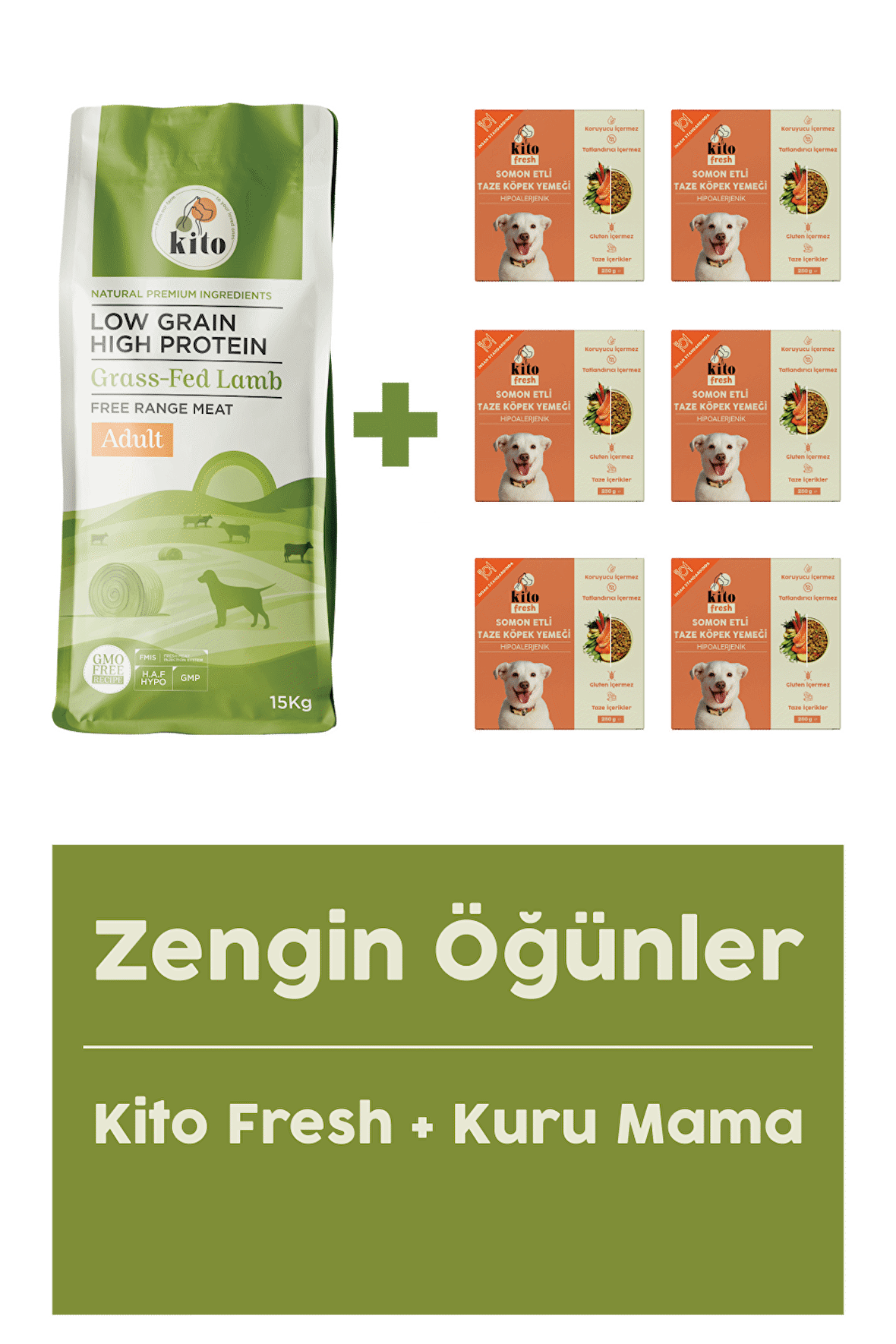 Yetişkin Köpek Maması 15 Kg + Balık Etli Fresh (somon) X 6