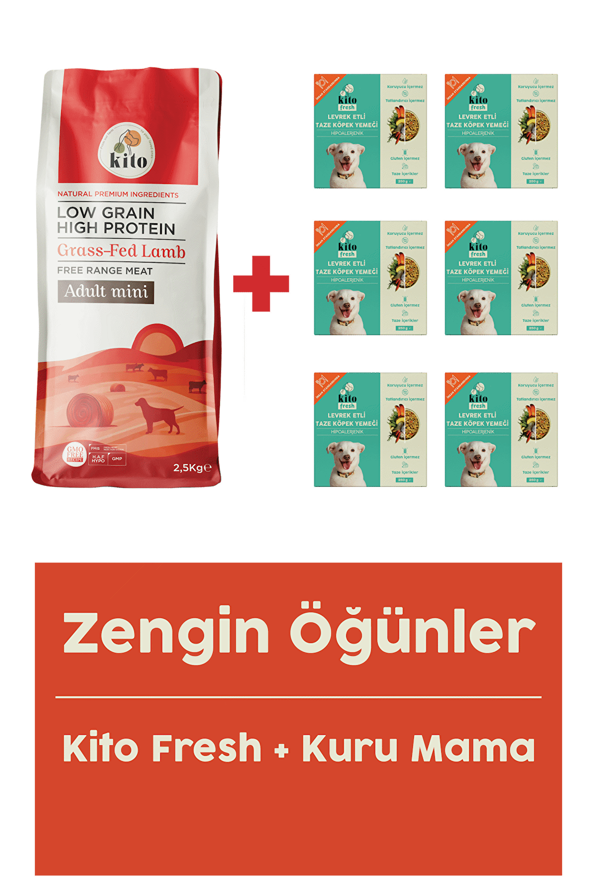 Yetişkin Mini Irk Köpek Maması 2.5 Kg + Levrek Etli Fresh X 6