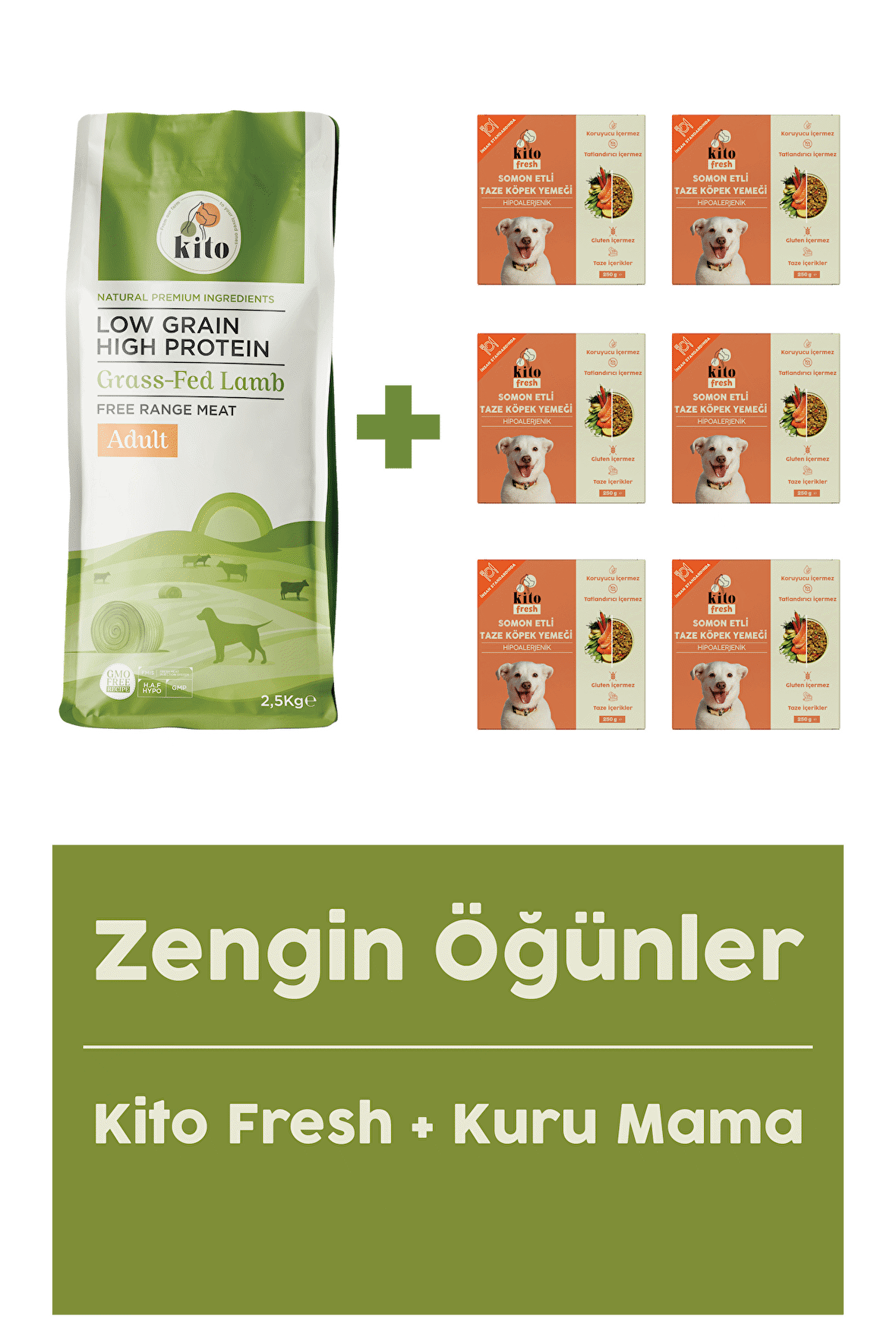 Yetişkin Köpek Maması 2,5 Kg + Somon Etli Fresh X 6