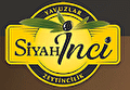 YAVUZLAR ZEYTİNCİLİK