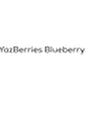 YazBerries Blueberry