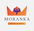 Sayılarla Boyama MorAnka