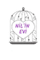 Nil' in Evi