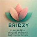 Bridzy