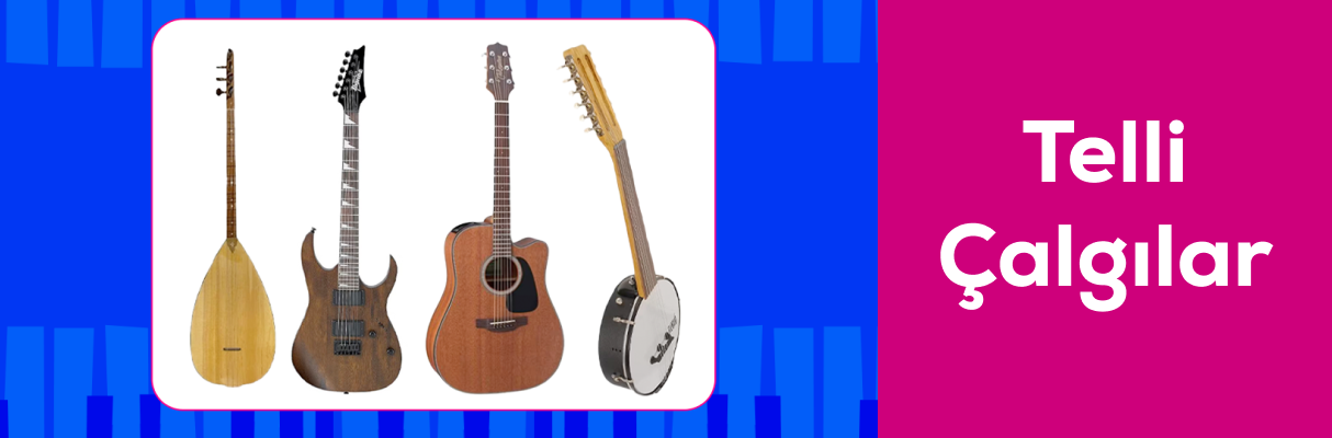 Telli Çalgılar
