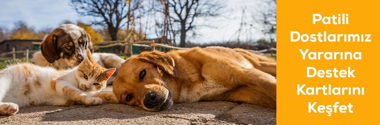 Patili Dostlarımız Yararına Destek Kartları