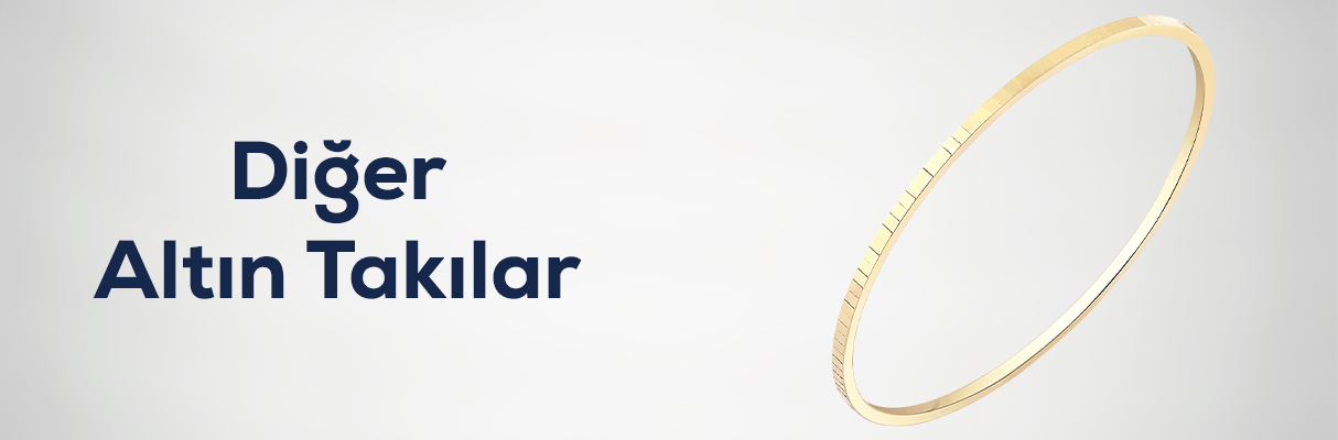 Diğer Altın Takılar