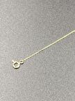 Altın Kolye Uzatma Zinciri ( 10cm)