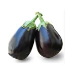 Agrokar Topan Patlıcan Tohumu 10GR