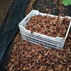 5x80 METRE FINDIK SERGİSİ FINDIK TOPLAMA FİLESİ FINDIK KURUTMA ÖRTÜSÜ 40'LIK GÖLGELİK FINDIK ALTI FİLE HASAT TABAN ÖRTÜSÜ