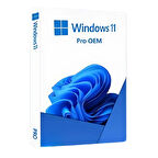 Windows 11 Pro OEM Lisans Key
