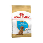 Poodle Puppy Yavru Köpek Maması 3 Kg