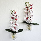 Led Işıklı, Beyaz Islak Orkide Çiçekli Duvar Dekoru Beyaz İkili Set