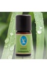 Nuka Hint Limonotu  5 Ml